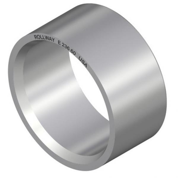 bore diameter: Rollway E21100 Journal Bearing Inner Rings #1 image